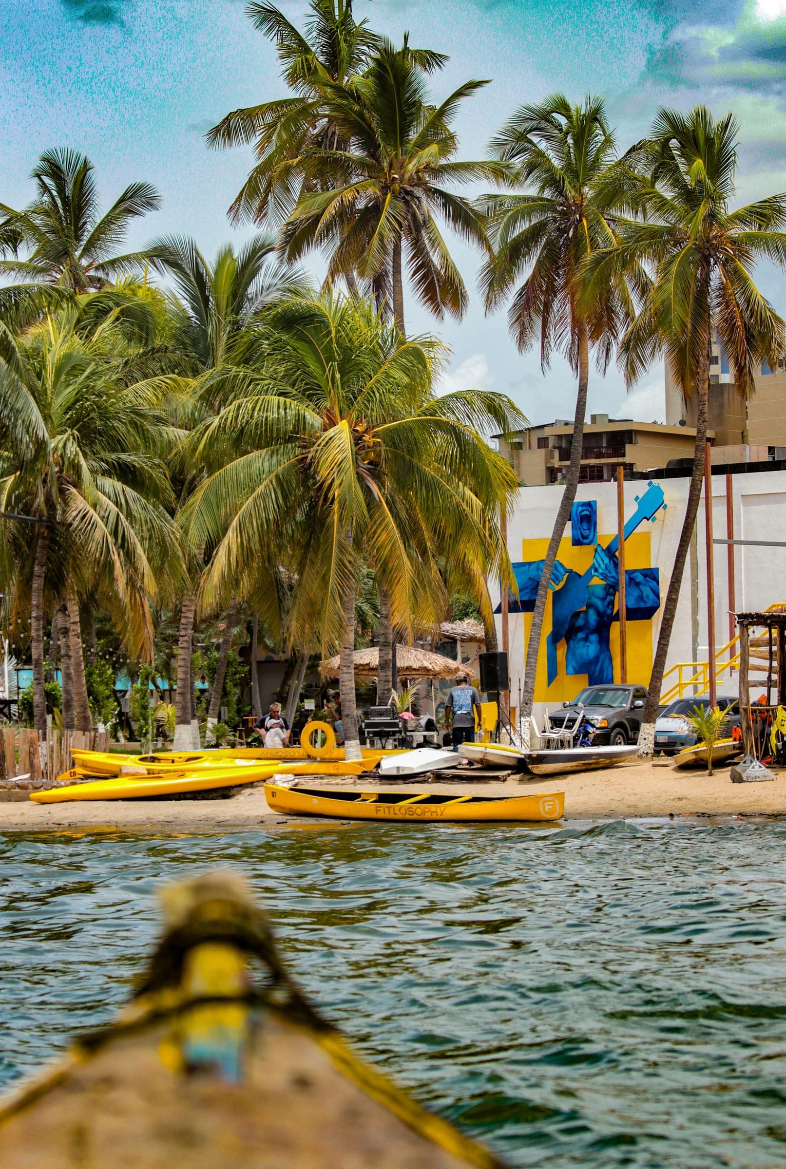 Kayaks y palmeras en la orilla del lago